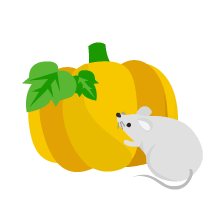 かぼちゃとネズミ